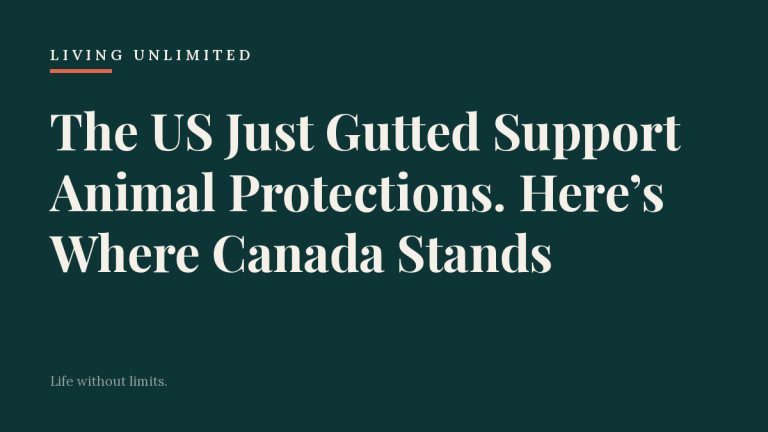 The US Just Gutted Support Animal Protections. Here’s Where Canada Stands. Living Unlimited.